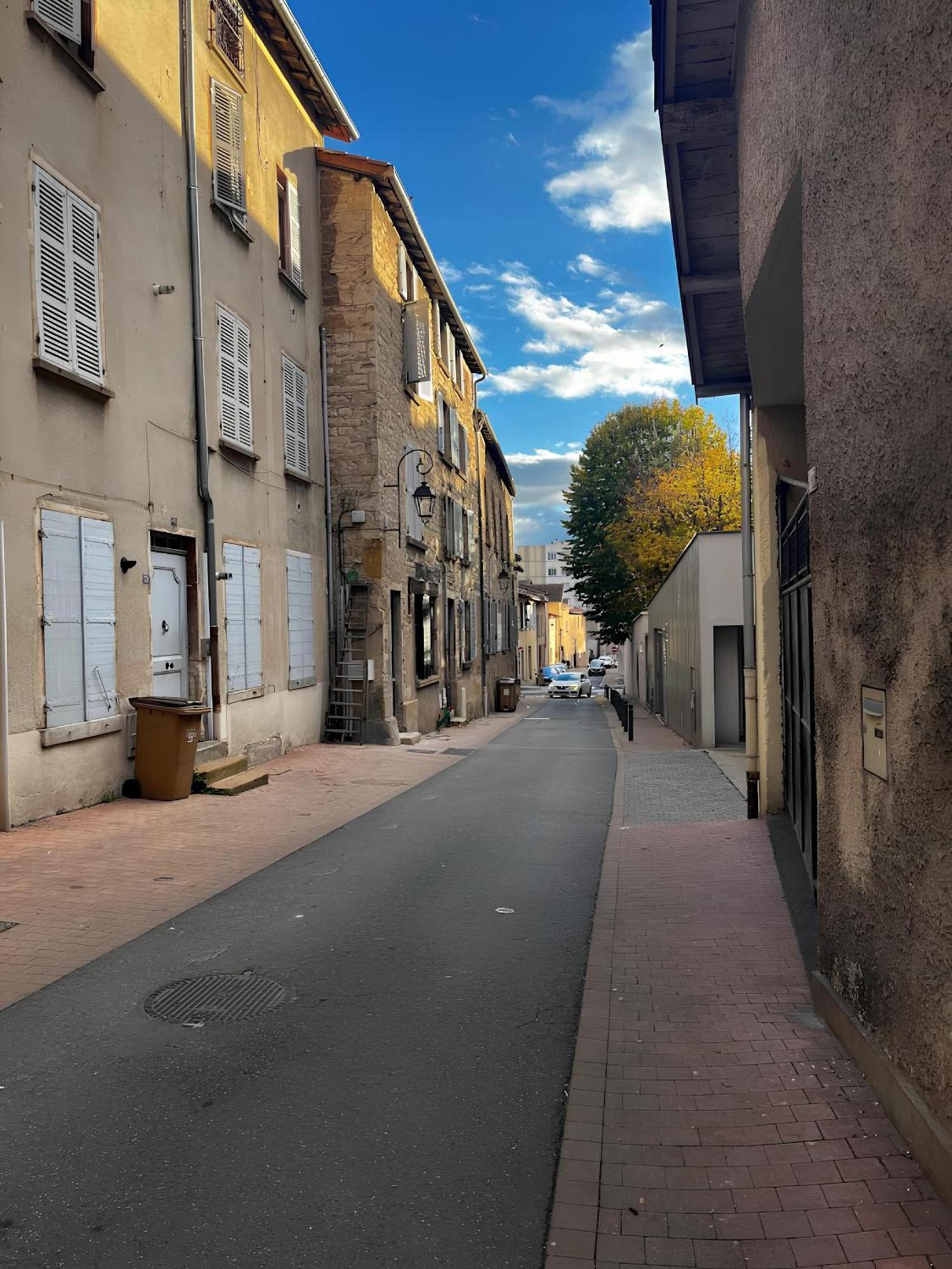Tinyhouse Experience In Beaujolais Apartment Villefranche-sur-Saone Luaran gambar